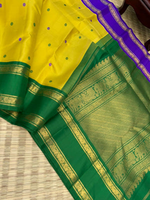 Vintage Ragas on Kanchivaram - a much loved sampanga yellow korvai Kanchivaram with retta pett ganga jammuna korvai borders with silk buttas woven body