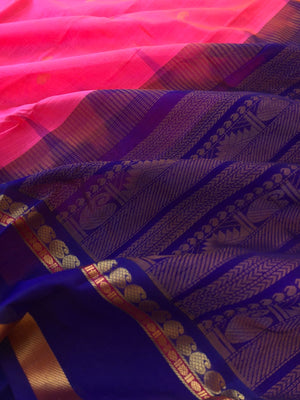 Margazhi Vibrs on Korvai Silk Cotton - candy pink and violet