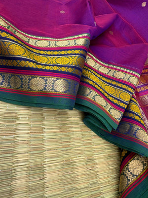 Zari Kissed Silk Cotton - dual tone vadamalli with varusai pett woven borders