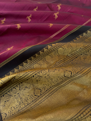 Kanchivaram Trunk - Essential Kanchivarams |deep wine and black deer buttas
