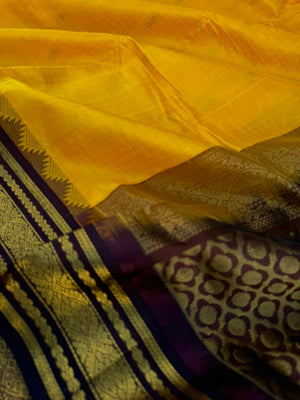 Korvai Silk Cottons - golden yellow zari kattam and coffee