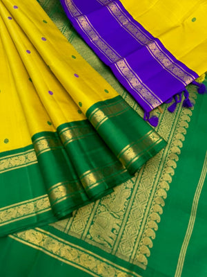 Vintage Ragas on Kanchivaram - a much loved sampanga yellow korvai Kanchivaram with retta pett ganga jammuna korvai borders with silk buttas woven body