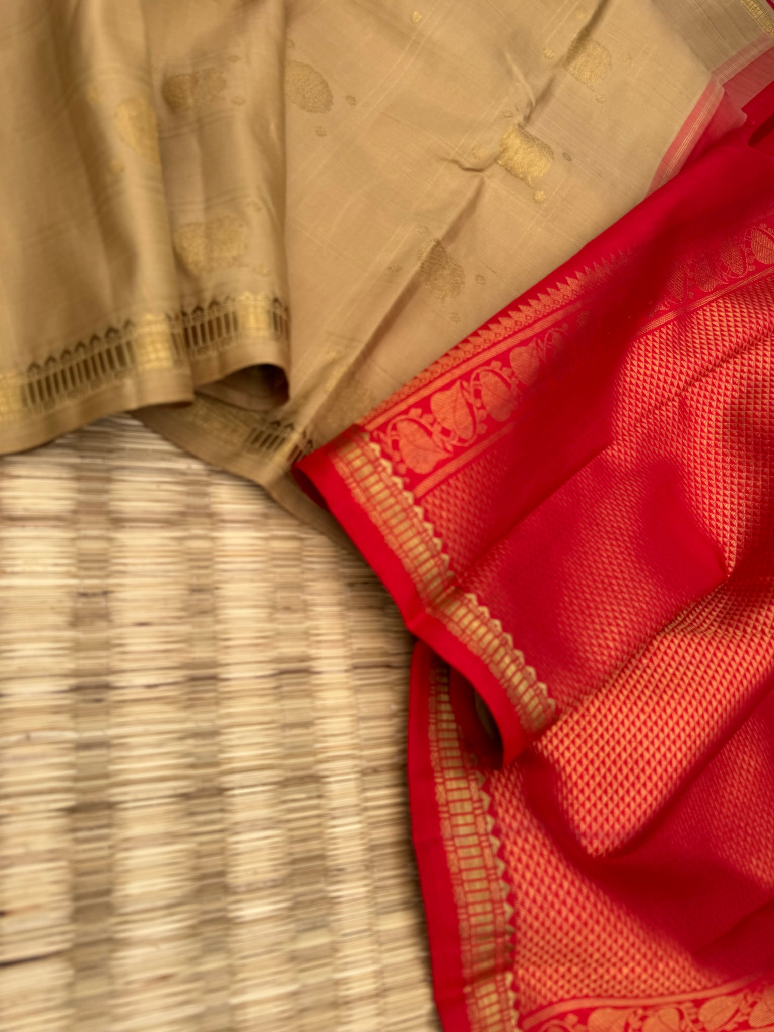 Album Vidhyasam - a biscuit beige and red with vintage buttas woven body