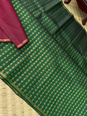 Mohaa - Beautiful Borderless Kanchivarams -