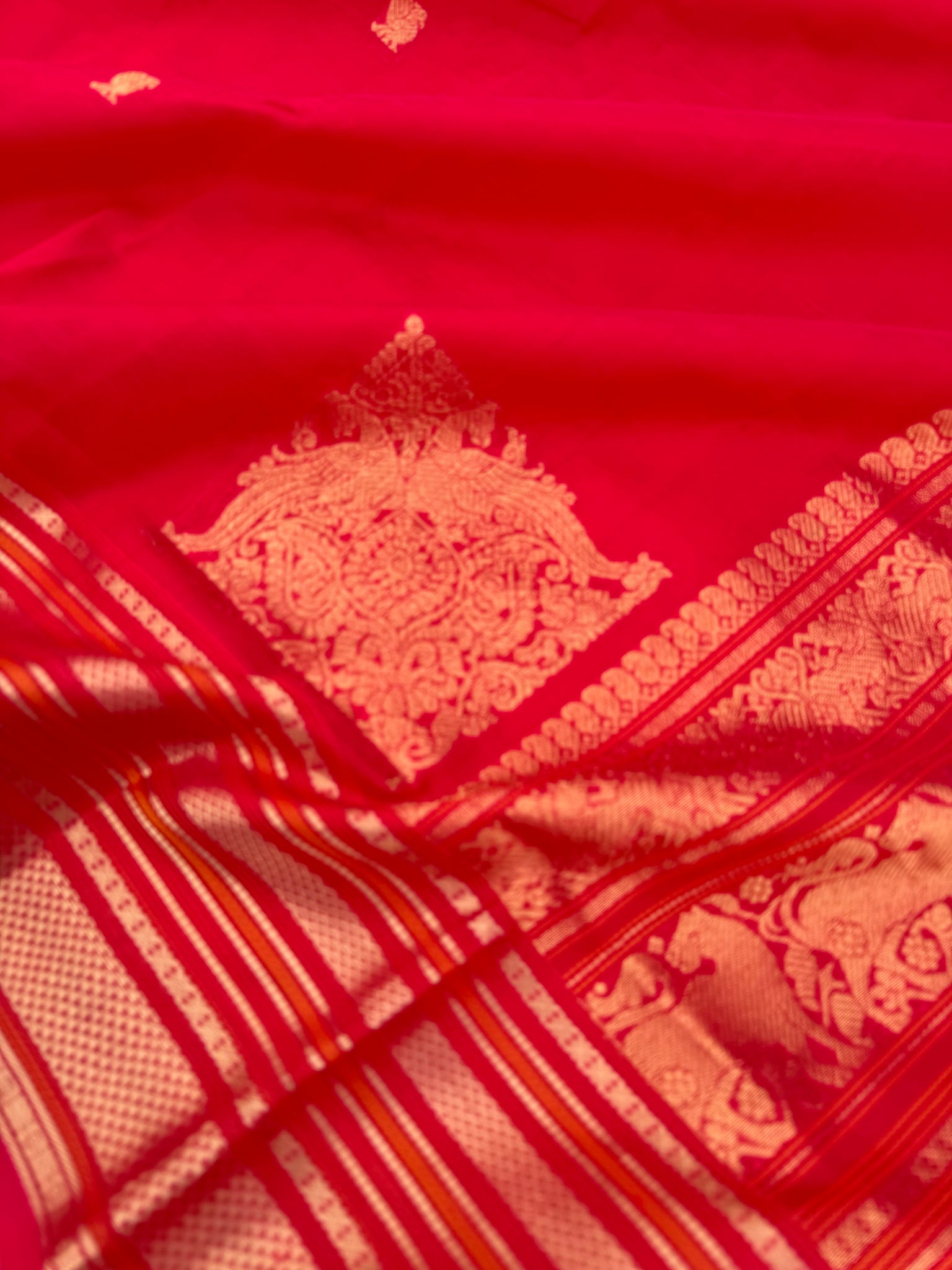 Zari Kissed Silk Cotton - tomato red grand borders and pallu with corner buttas