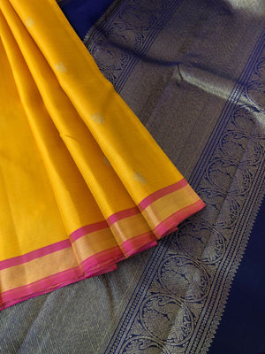 Tara - Traditional Colours on Traditional Kanchivarams - stunning mustard with dark blue pallu and buttas woven blouse