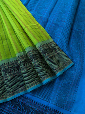 Woven Motifs Silk Cotton - apple green and blue vertical veldhari