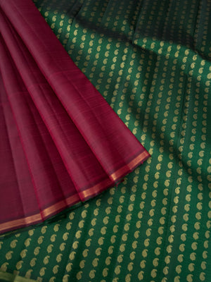 Mohaa - Beautiful Borderless Kanchivarams -