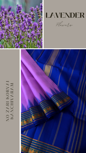 Lavender Flowers - Stunning No Zari Korvai Kanchivaram with annapakshi woven Thalampoo korvai borders